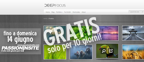 Come scaricare gratis il Tema WordPresss Premium DeepFocus per creare da soli il proprio sito internet professionale