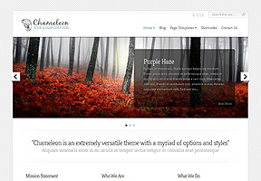Chameleon Theme Wordpress - Tema modello per realizzare il tuo sito internet