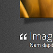 Le immagini sono le vere protagoniste di questo sito web...Sceglietele con cura!