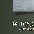 L'eleganza di questo tema WordPress è indiscussa...Forse il difficile è decidere!